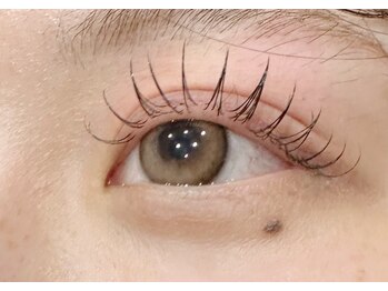 リグ(rig')/フラットラッシュ