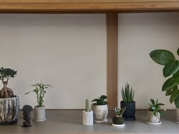 整体リンパサロンYULU/