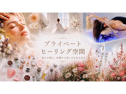 テラ(TERRA)の写真