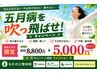 5/31まで限定【5月病を吹っ飛ばせ】骨盤矯正+全身整体60分8,800円→5,000円