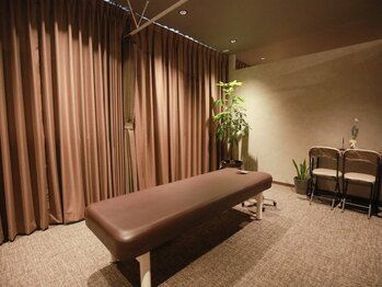 整体ソエルテ(Soerute)の写真/あなた本来の健康と美容を取り戻す整体サロン☆施術効果を最大限に発揮するためのプライベート空間♪