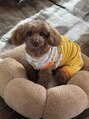 ヨサパーク かのん 幸田店(YOSA PARK) 看板娘(犬)のかのんがお出迎えしますよろしくお願いします
