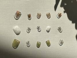 3月定額フットジェル￥8800