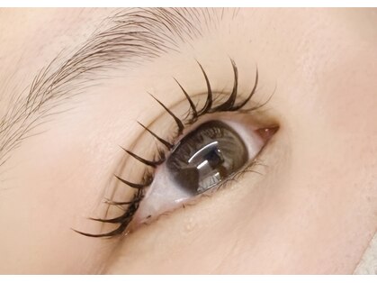 ラカ(Laka.)の写真