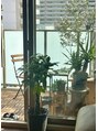 コウ 甲子園口店(KOH) マイブームは家で植物を育てる事にハマってます♪