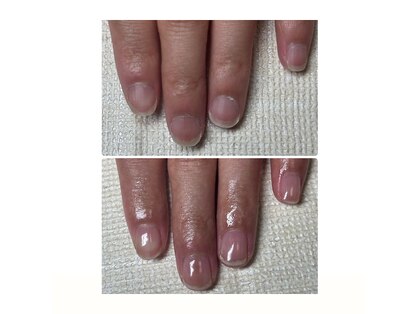 カランコエ(Kalanchoe)の写真