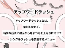 イーストアッカ アイラッシュ(East AkkA eyelash)/