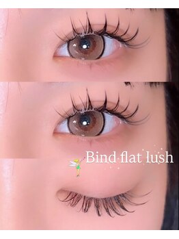 バンビズルーム(Bambi's Room)/フラットラッシュ120本