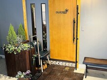 パームツリー(PALMTREE)