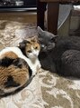 リラ 四日市店(Lila)&nbsp;実家の猫が大好きです！名前は姫と王子です♪