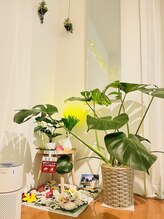 ワレア(walea)/癒しのグリーンコーナー♪