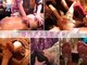 タイ王宮式リラクゼーションサロン 伊織の写真