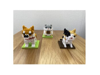 リヴ/プチブロック