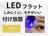 【LEDマツエク】フラットラッシュ付け放題