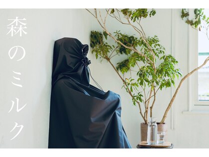 シュシュ(chouchou)の写真