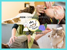 晴々