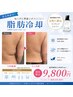 【下腹ぽっこり撃退】気になる1部位集中☆お腹脂肪に◎脂肪冷却1カップ