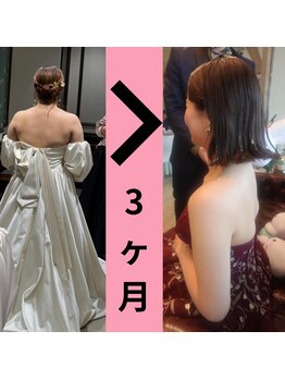ハリエール 東京中央区(Hari aile)/ダイエットブライダル美容整体