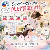 シエル(Ciel)