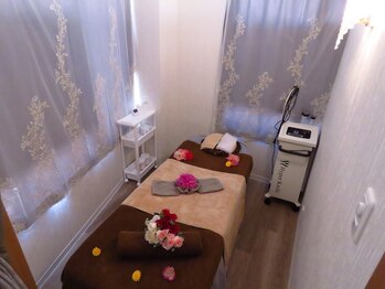 癒しの森/お店の雰囲気