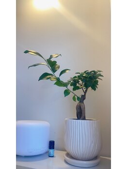 ボディ トーク ヒール コティ(Body talk Heal koti)/◇ Body talk Heal koti ◇