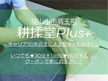 コウジュウドウプラス(耕揉堂Plus+)