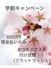 【学割】垢抜け！！まつエク付け放題5500円