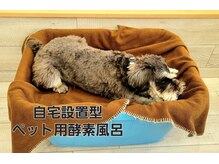 カルーナ(Calluna)/ペット用酵素風呂（自宅設置型）