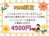 【6・7月再来限定★感謝価格】Yumi限定