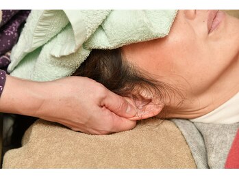 マリポッサ ボルボレッタ(mariposa-borboleta)