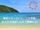 ボディーリセット(BODY RESET)の写真