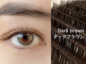 エーワイラッシュ 藤沢店(AYLASH)/カラーエクステ☆ダークブラウン