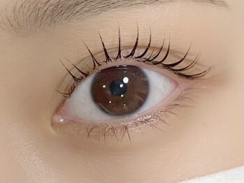 ロンド(Rond)/カールデザイン