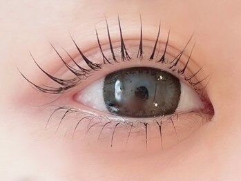 ジャスミン(JasMine)/シンプリフィ/上下 まつ毛パーマ