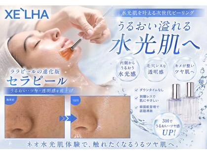 シエスタ(siesta)の写真