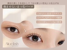 アリスラッシュ 自由が丘店(Alice lash)