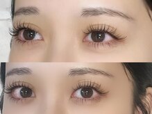 カサブランカ 自由が丘(Casablanca)/フラットラッシュ上下180本