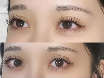 カサブランカ 自由が丘(Casablanca)/フラットラッシュ上下180本