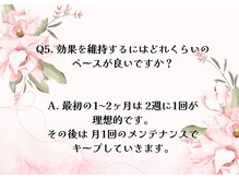 コトリト(Cotorito)/