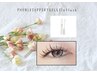 【大人気PHENIX EYE SUPPORTGEL付き】フラットラッシュ 100本