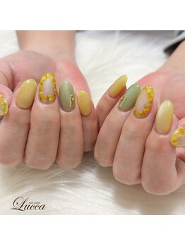 ルッカ(Lucca)/ミモザ