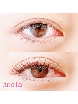 アネラ つくば(Anela)/バインドロック100束