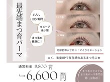 ブルーベル(Bluebell)