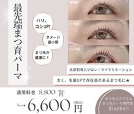ブルーベル(Bluebell)