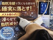 スンダリスパ