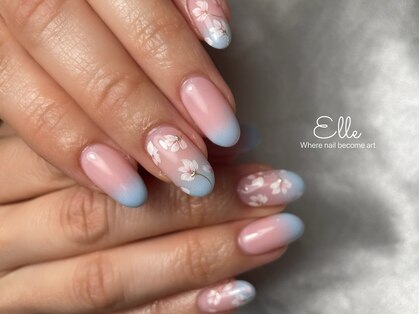 エル(Elle)の写真