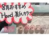 【8月おすすめ限定カラー】ハンド美爪ワンカラー(4週間以内自店オフ無料)