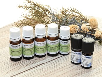 マービィ(Mavie)/