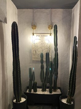 ハコドットラッシュバー ツー(hako.lashbar NO2)/南上原店♪ 西原より15分◎