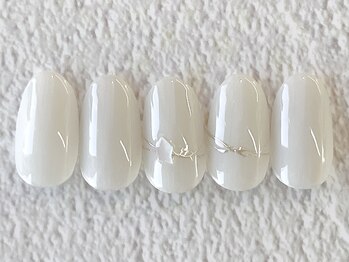 定額Aコース16種類